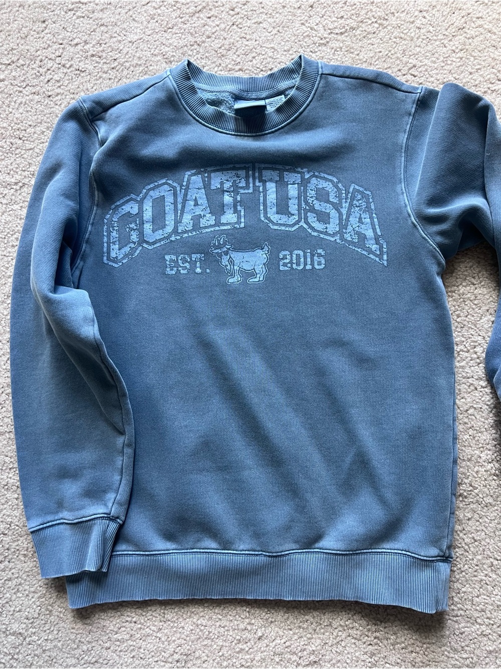 Cozy Blue Goat USA Graphic Crew Sweatshirt